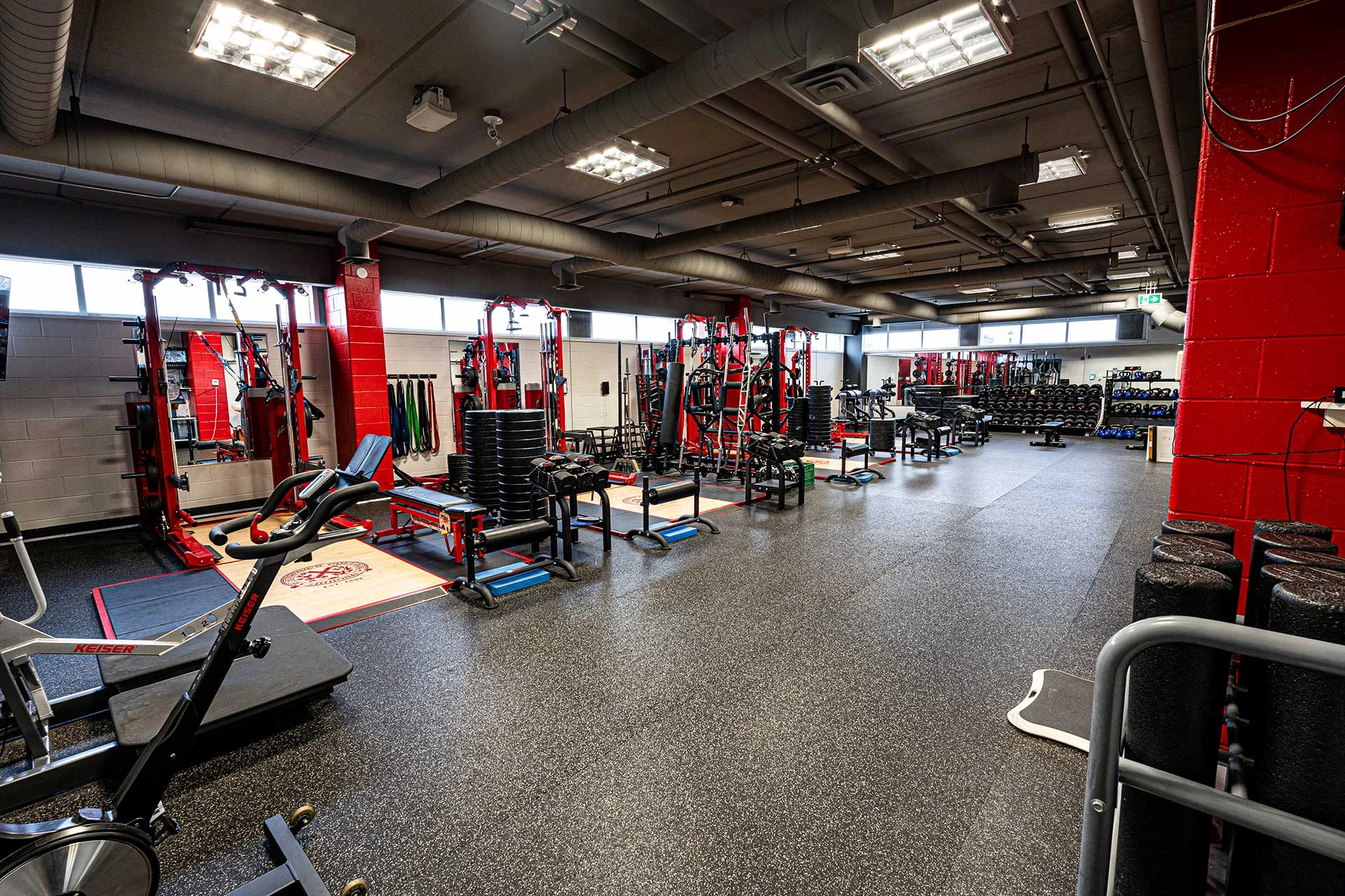 Pliteq Flooring photo 2